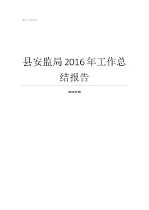 县安监局2016年工作总结报告安监局特种工信息