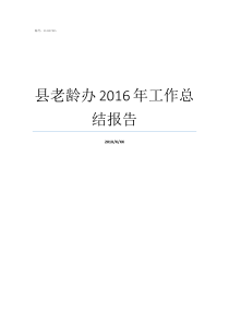 县老龄办2016年工作总结报告王绍忠全国老龄办