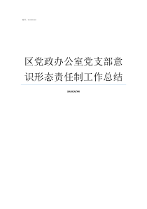 区党政办公室党支部意识形态责任制工作总结
