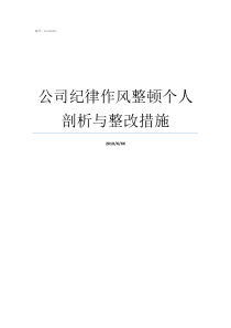 公司纪律作风整顿个人剖析与整改措施