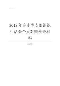 2018年完小党支部组织生活会个人对照检查材料