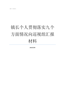 镇长个人贯彻落实九个方面情况向巡视组汇报材料