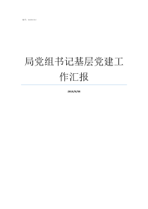 局党组书记基层党建工作汇报
