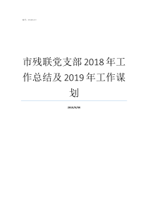 市残联党支部2018年工作总结及2019年工作谋划全国残联