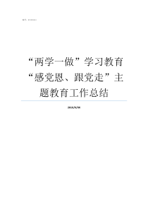 “两学一做”学习教育“感党恩、跟党走”主题教育工作总结