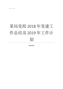 某局党组2018年党建工作总结及2019年工作计划