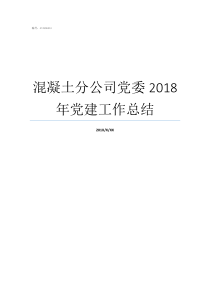 混凝土分公司党委2018年党建工作总结岳达混凝土有限公司