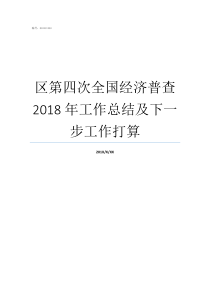 区第四次全国经济普查2018年工作总结及下一步工作打算全国第四次经济普查必须做吗