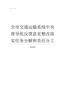 全市交通运输系统中央督导组反馈意见整改落实任务分解和责任分工交通运输领域中央和地方