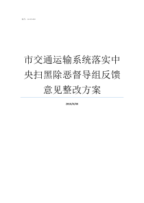 市交通运输系统落实中央扫黑除恶督导组反馈意见整改方案交通运输系统组成
