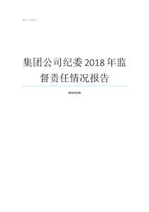 集团公司纪委2018年监督责任情况报告2018年集团公司总结