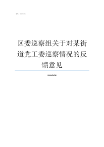 区委巡察组关于对某街道党工委巡察情况的反馈意见区委巡察组
