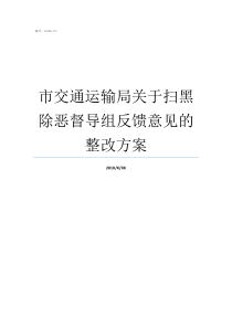 市交通运输局关于扫黑除恶督导组反馈意见的整改方案交通运输局扫黑除恶办人员分工