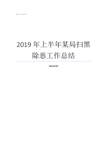 2019年上半年某局扫黑除恶工作总结2019年上半年全国