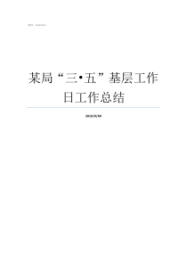 某局“三•五”基层工作日工作总结省局开展基层基础工作现状