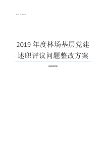 2019年度林场基层党建述职评议问题整改方案2019基层减负年