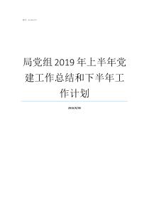 局党组2019年上半年党建工作总结和下半年工作计划2019年7月半