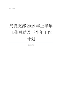局党支部2019年上半年工作总结及下半年工作计划2019年党支部半年总结