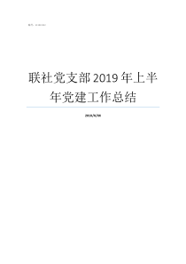 联社党支部2019年上半年党建工作总结2019年党支部半年总结