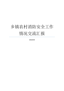 工作情况消防安全乡镇汇报