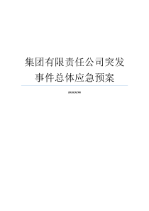 有限责任公司突发事件应急预案总体