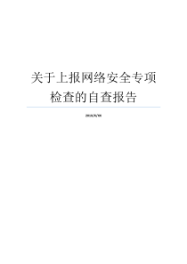自查网络安全上报专项