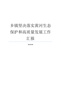 黄河高质量乡镇工作汇报