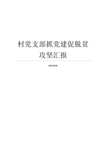 党支部脱贫攻坚党建