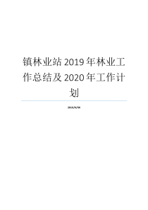 林业站工作计划工作总结林业