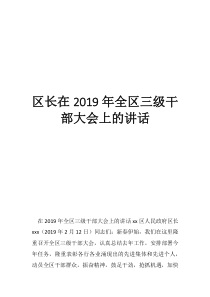 2019年崇左市政府领导班子区长在2019年全区三级干部大会上的讲话