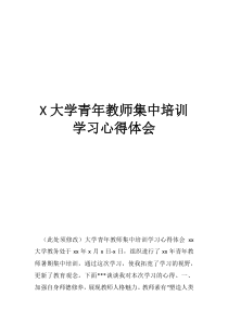 大学青年教师集中培训学习心得体会