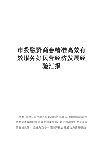 商会在民营经济发展中的作用市投融资商会精准高效有效服务好民营经济发展经验汇报