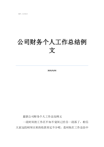 公司财务个人工作总结例文
