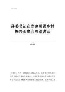 乡村振兴摘要100字县委书记在党建引领乡村振兴观摩会总结讲话