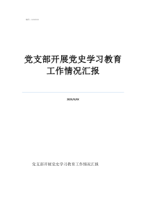 党支部开展党史学习教育工作情况汇报