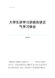 大学生讲学习讲政治讲正气学习体会