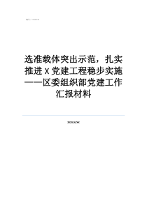 单位工作总结材料范文选准载体突出示范，扎实推进党建工程稳步实施——区委组织部党建工作汇报材料
