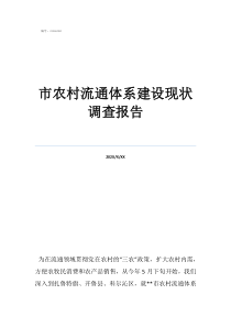 流通体系指什么市农村流通体系建设现状调查报告