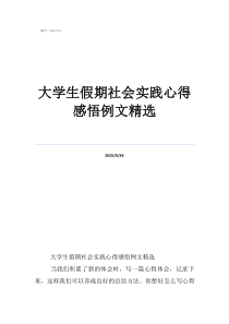 社会实践活动报告大学生假期社会实践心得感悟例文精选