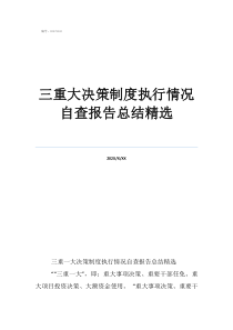规范三重一大的措施三重大决策制度执行情况自查报告总结精选