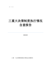 三重一大自查情况报告三重大决策制度执行情况自查报告