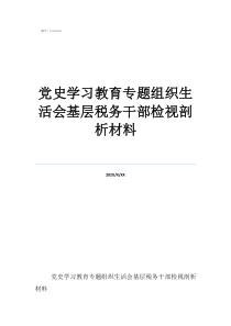 党史学习教育专题组织生活会基层税务干部检视剖析材料