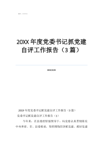 2021支部书记述职述廉20年度党委书记抓党建自评工作报告（3篇）