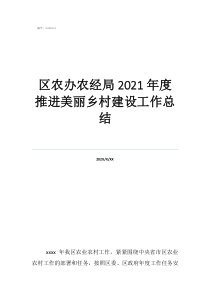 区农办农经局2021年度推进美丽乡村建设工作总结