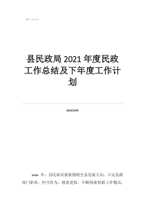 乡民政工作总结县民政局2021年度民政工作总结及下年度工作计划