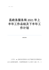 县政务服务局2021年上半年工作总结及下半年工作计划