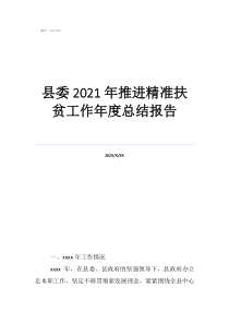 精准扶贫个人总结简短县委2021年推进精准扶贫工作年度总结报告