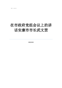 在市政府党组会议上的讲话安康市市长武文罡
