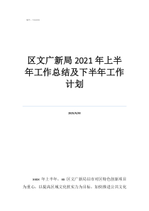 工作总结精辟简短区文广新局2021年上半年工作总结及下半年工作计划