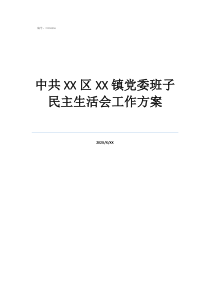 中共区镇党委班子民主生活会工作方案